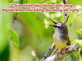 Chữ và nghĩa: Chim khôn kêu tiếng rảnh rang